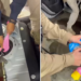VÍDEO: homens se desmentem em abordagem e polícia descobre drogas escondidas em bexigas dentro de tanque de combustíveis, no Paraná