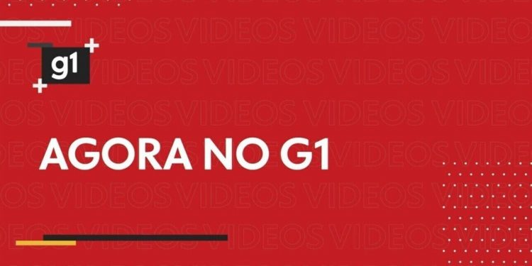 Curitiba 'respira' cultura com início da Art Week e preparação da Bienal Internacional; veja programação
